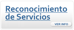 Reconocimiento de servicios